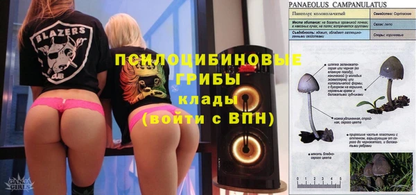 прущая мука Балахна