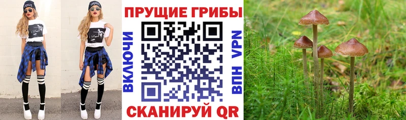 Псилоцибиновые грибы мухоморы  Орлов 